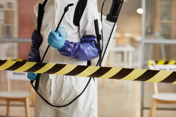 Professional Sewage Cleanup technician working in Coloma, CA